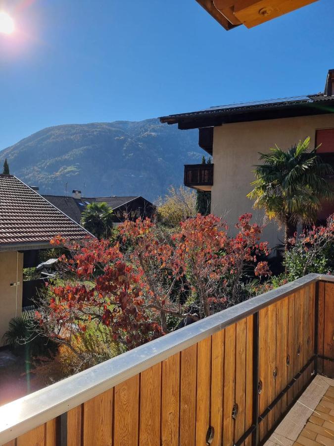 Appartments Elke ラグンド エクステリア 写真