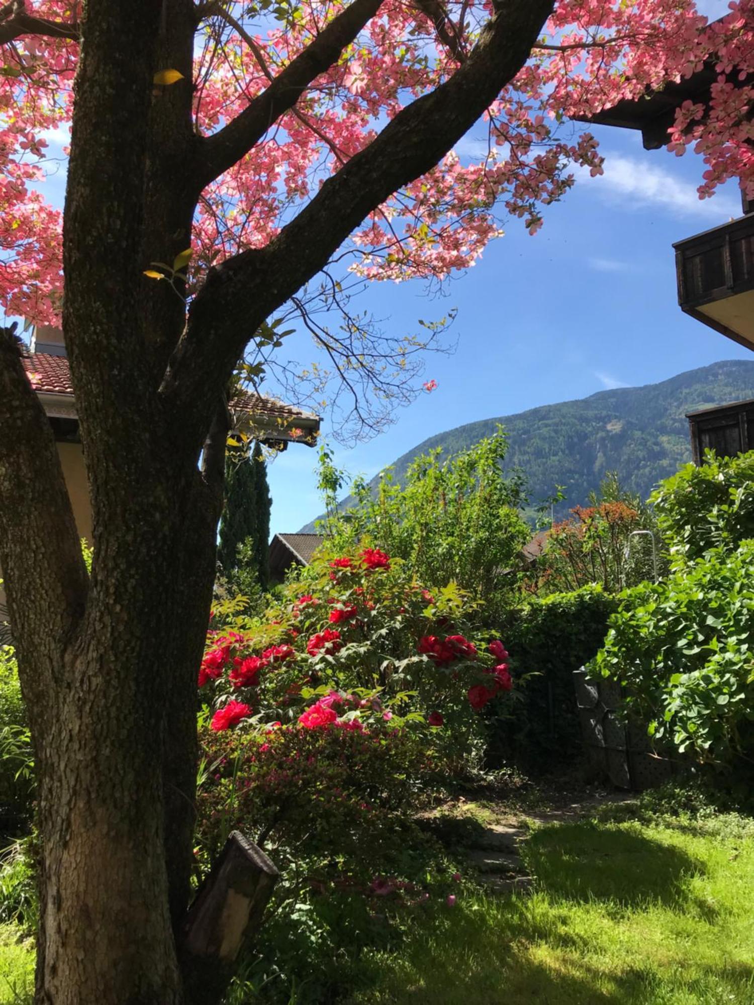 Appartments Elke ラグンド エクステリア 写真